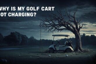 Why Is My Golf Cart Not Charging