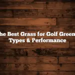 The Best Grass for Golf Greens: Types & Performance