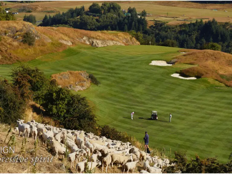 How Much To Build A Golf Course: Full Cost Analysis