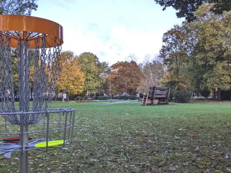 How To Get A Disc Golf Course Built: A Local Guide