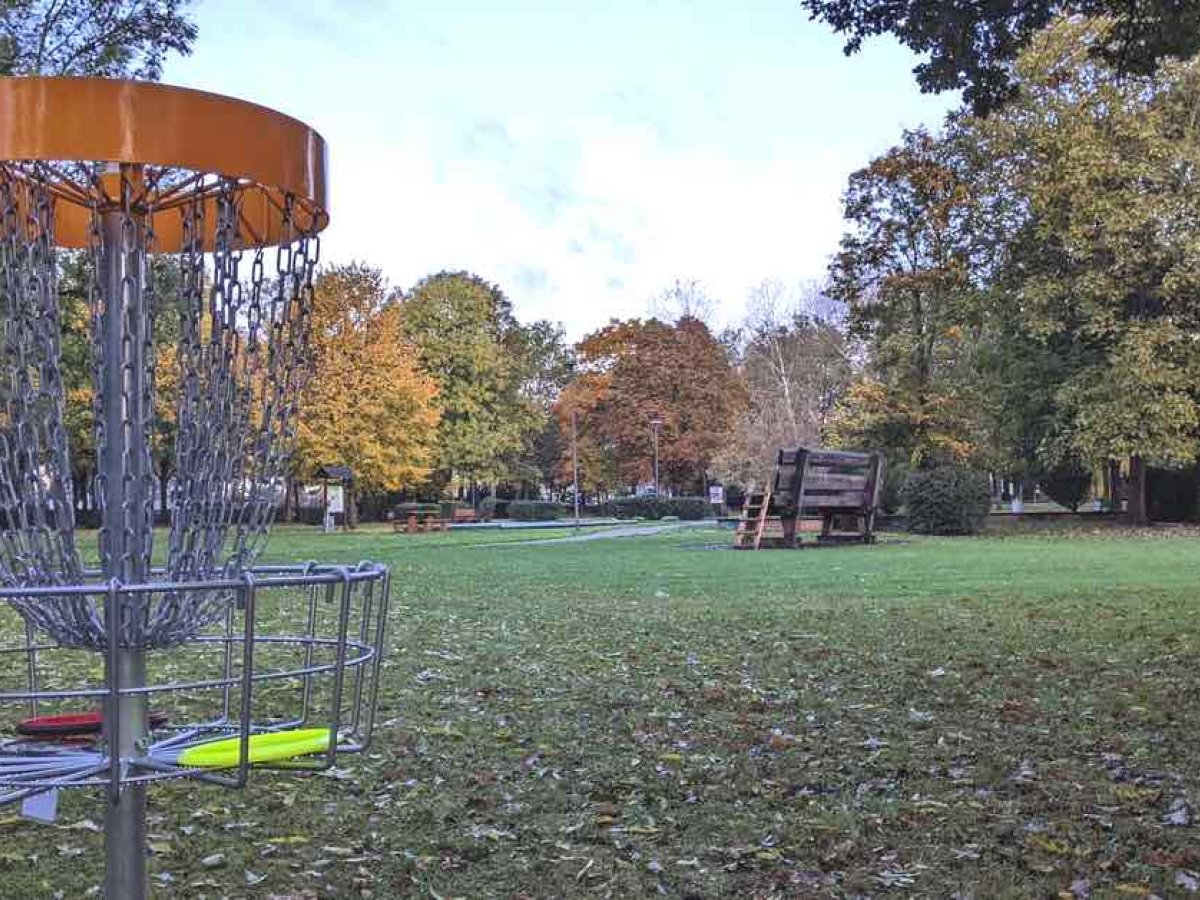 How To Get A Disc Golf Course Built: A Local Guide