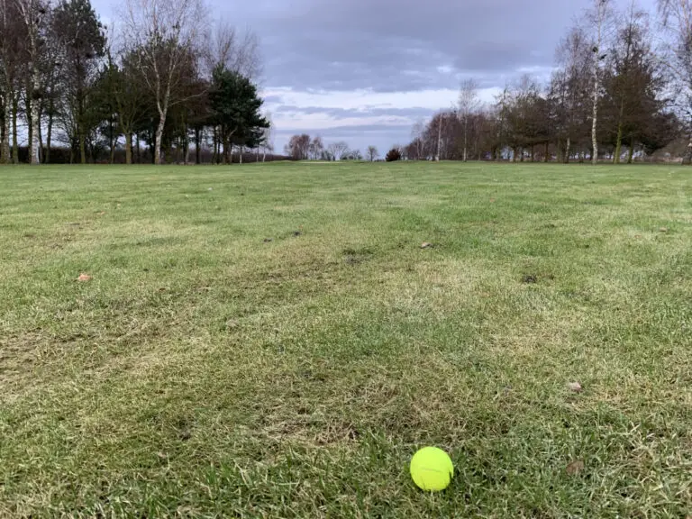 Visible Golf Balls: Which Color Is Easiest To See?