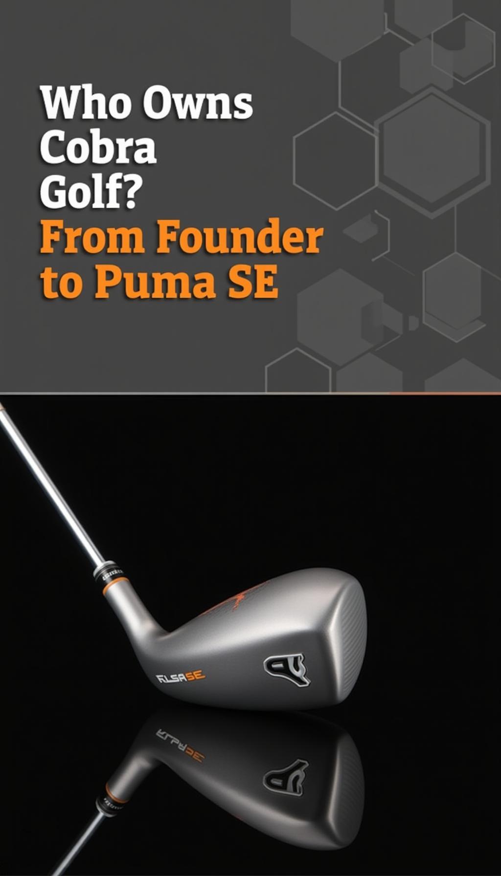 Who Owns Cobra Golf